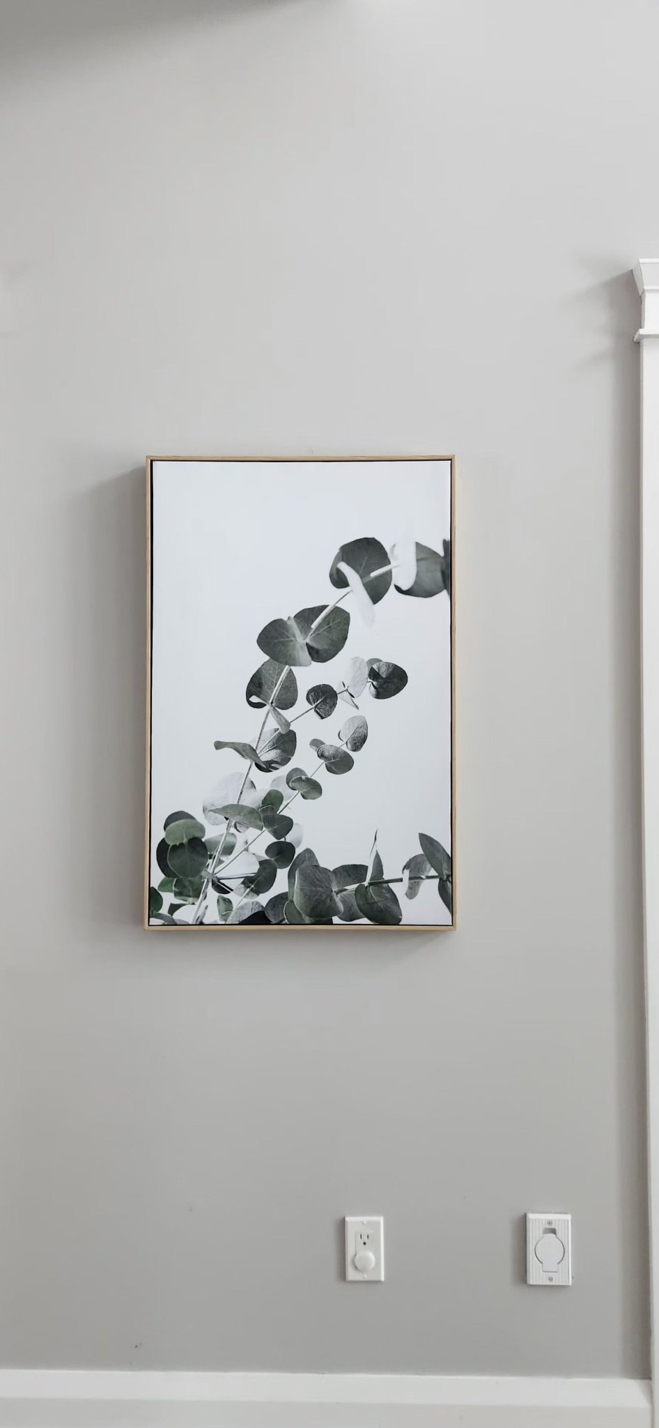 A framed print of eucalyptus leaves  - MJ